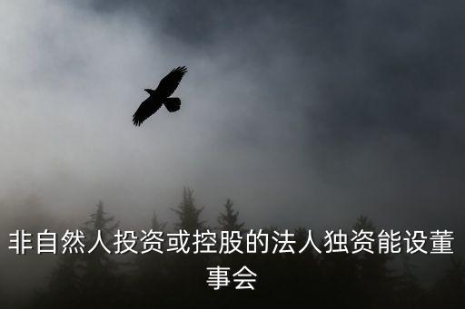 非自然人投資或控股的法人獨(dú)資是什么意思，有限責(zé)任公司非自然人投資或控股的法人獨(dú)資