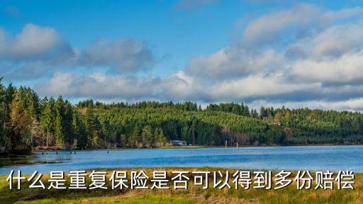 重復保險，什么是重復保險是否可以得到多份賠償