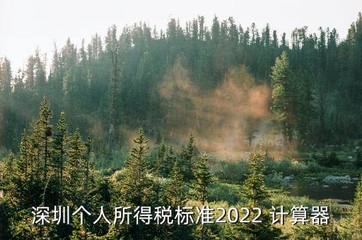 年終獎(jiǎng)個(gè)稅計(jì)算器,2022年終獎(jiǎng)個(gè)稅計(jì)算器