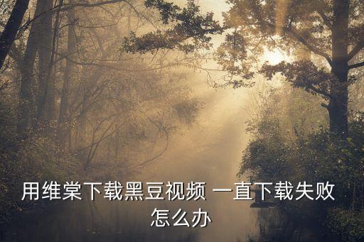 用維棠下載黑豆視頻 一直下載失敗 怎么辦