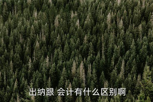  出納跟 會計有什么區(qū)別啊
