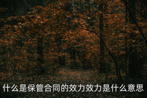 什么是保管合同的效力效力是什么意思
