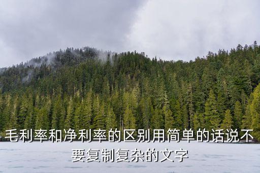 毛利率和凈利率的區(qū)別用簡單的話說不要復制復雜的文字