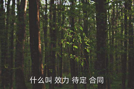 什么叫 效力 待定 合同