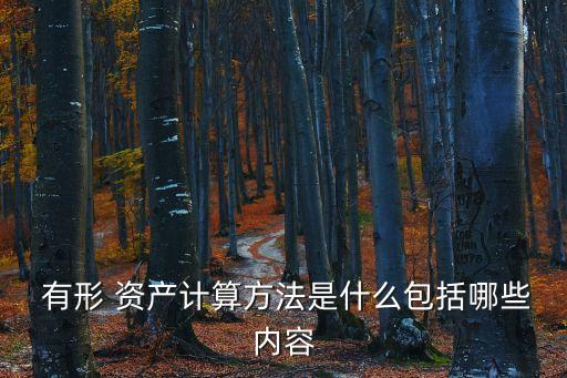 有形資產(chǎn)