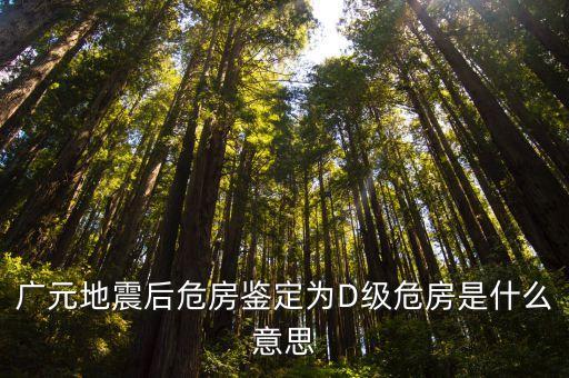廣元地震后危房鑒定為D級(jí)危房是什么意思