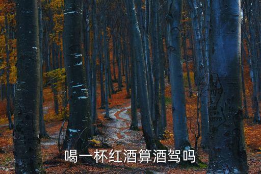 喝紅酒算酒駕嗎，紅酒喝多少算酒駕