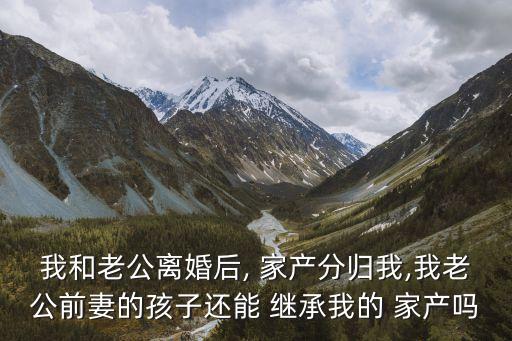繼承家產(chǎn)