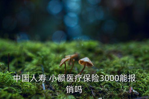 中國(guó)人壽 小額醫(yī)療保險(xiǎn)3000能報(bào)銷(xiāo)嗎