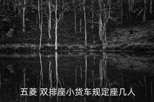 五菱雙排