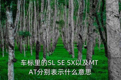 車標里的SL SE SX以及MT AT分別表示什么意思