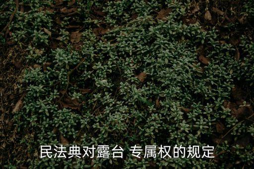 民法典對(duì)露臺(tái) 專屬權(quán)的規(guī)定