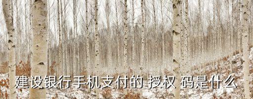 授權碼是什么,柚子影視app授權碼是什么