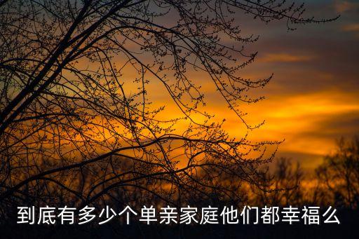 到底有多少個單親家庭他們都幸福么