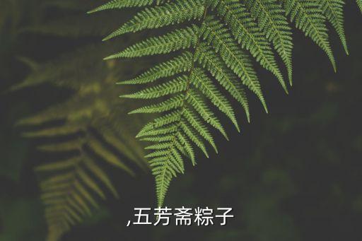 伍芳,五芳齋粽子
