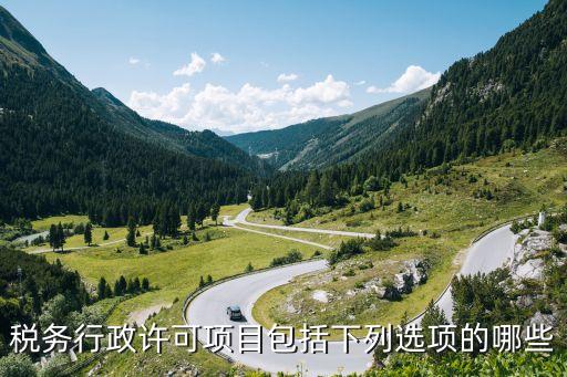 稅務(wù)行政許可，稅務(wù)行政許可項(xiàng)目包括下列選項(xiàng)的哪些