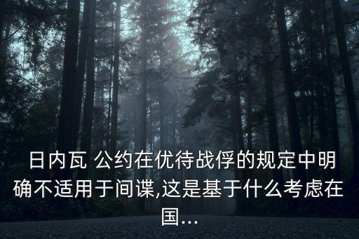 日內(nèi)瓦公約