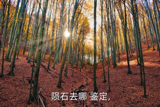 隕石鑒定權(quán)威機(jī)構(gòu),國家正規(guī)免費(fèi)鑒定中心