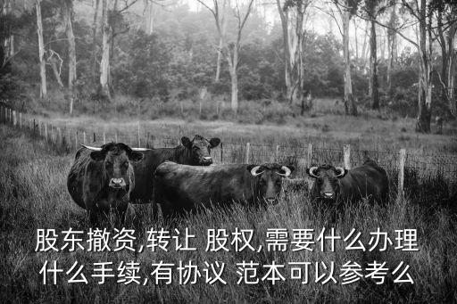 股東撤資,轉(zhuǎn)讓 股權(quán),需要什么辦理什么手續(xù),有協(xié)議 范本可以參考么