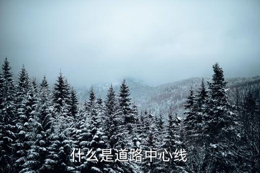 什么是道路中心線