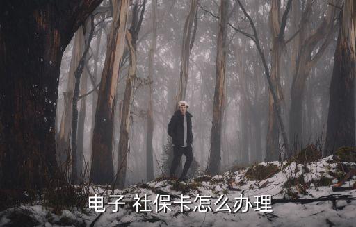 申領(lǐng)電子社保卡
