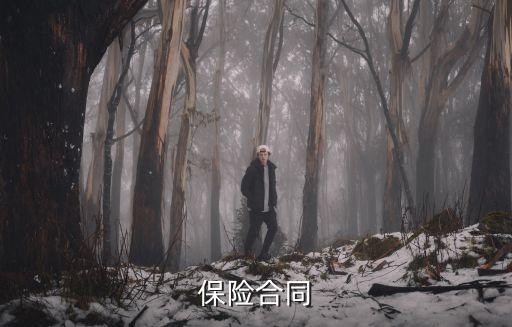 保險合同