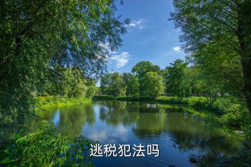 避稅違法嗎，逃稅犯法嗎