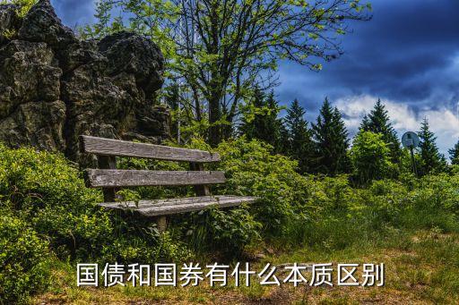 國債和國券有什么本質(zhì)區(qū)別