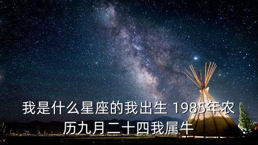 我的1985