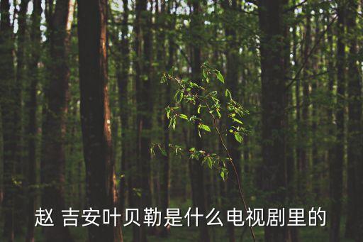 趙吉安