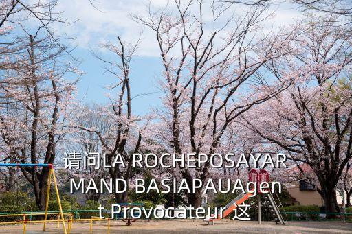 agentprovocateur，請(qǐng)問LA ROCHEPOSAYARMAND BASIAPAUAgent Provocateur 這