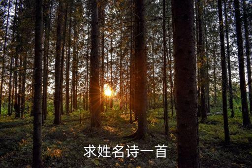 求姓名詩(shī)一首