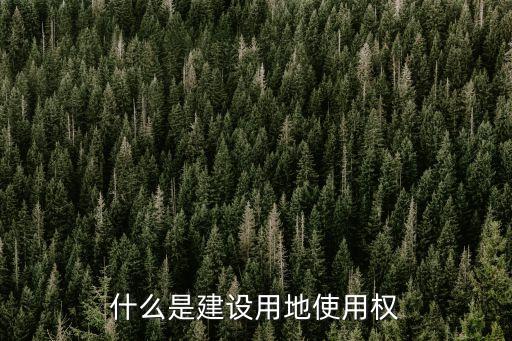 建設(shè)用地使用權(quán)，什么是國有建設(shè)用地使用權(quán)出租