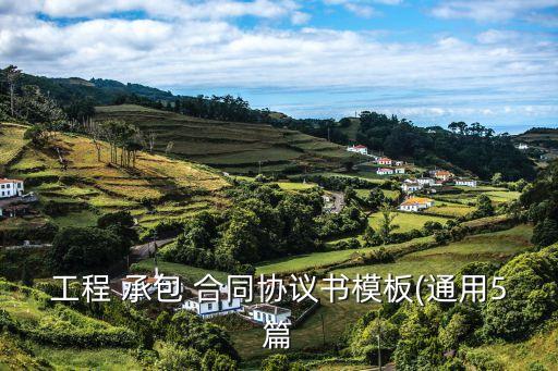 工程 承包 合同協(xié)議書(shū)模板(通用5篇
