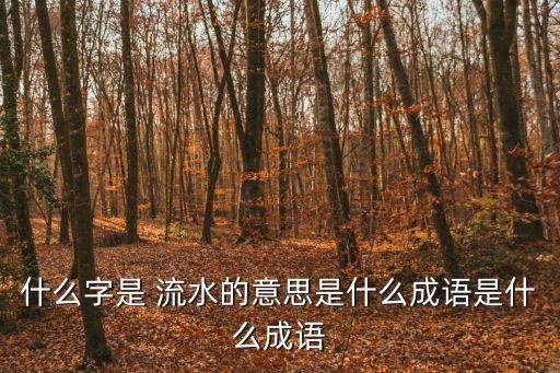 什么什么流水