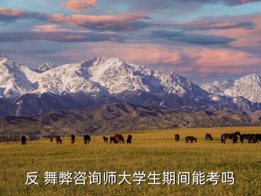 反舞弊