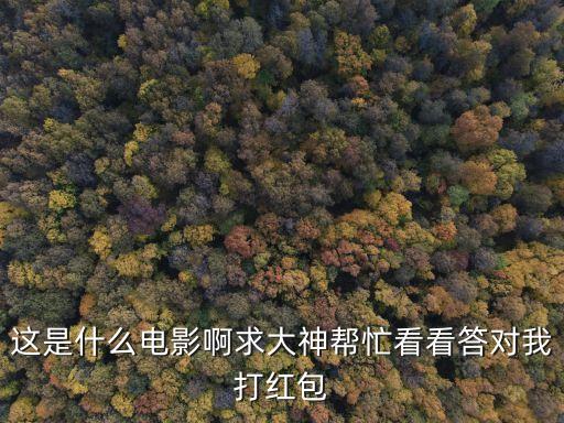 這是什么電影啊求大神幫忙看看答對我打紅包