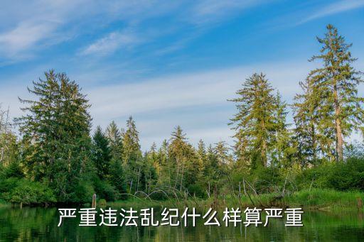 嚴(yán)重違紀(jì)行為，嚴(yán)重違法亂紀(jì)什么樣算嚴(yán)重