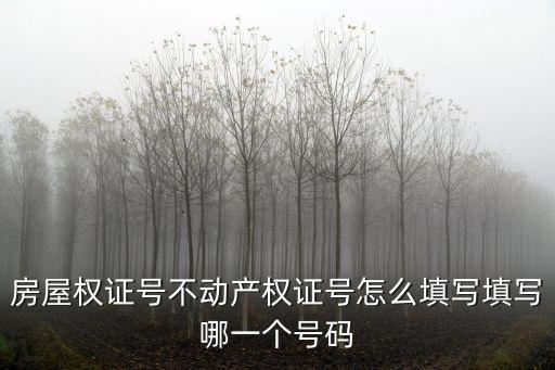 房屋權(quán)證號不動產(chǎn)權(quán)證號怎么填寫填寫哪一個號碼