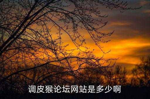 調(diào)皮猴，調(diào)皮猴官方網(wǎng)站是什么啊