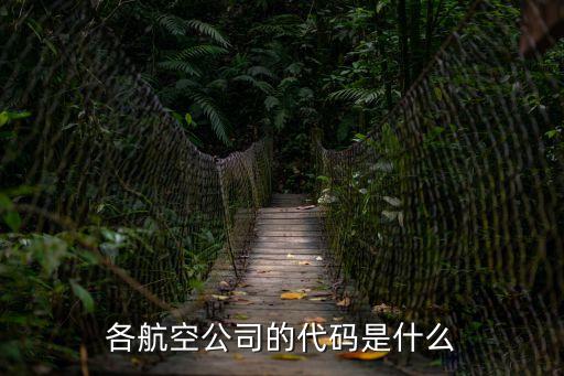 航空公司代碼，CXCI CK分別是什么航空公司的代碼