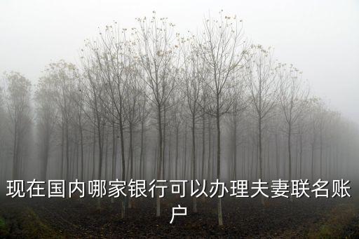 現(xiàn)在國(guó)內(nèi)哪家銀行可以辦理夫妻聯(lián)名賬戶