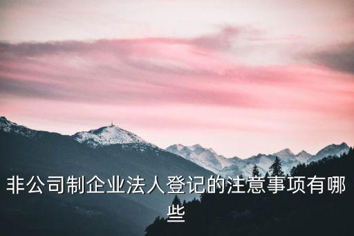 非公司制企業(yè)，非公司制企業(yè)用英語怎么說