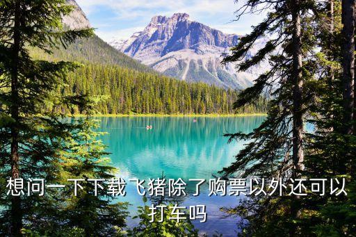飛豬租車，想問一下下載飛豬除了購票以外還可以打車嗎