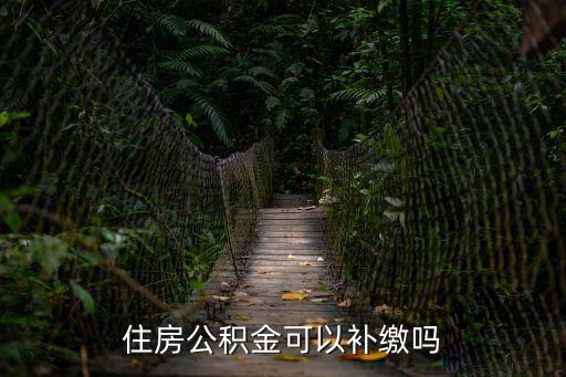 住房公積金可以補(bǔ)繳嗎
