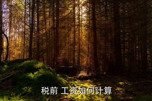 稅前工資