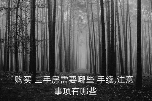 購買 二手房需要哪些 手續(xù),注意 事項(xiàng)有哪些