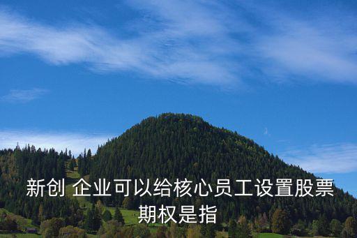 新創(chuàng)企業(yè)