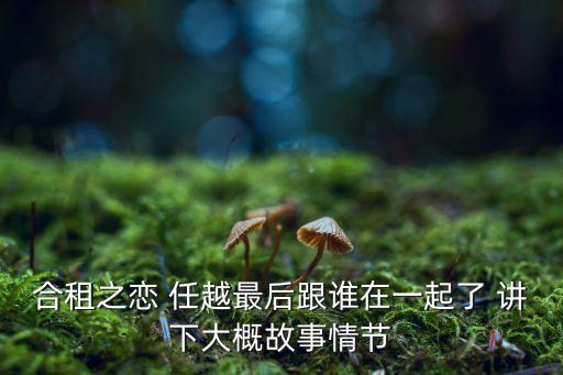 合租之戀，合租之戀 大結(jié)局 是啥 主角跟誰在一起了