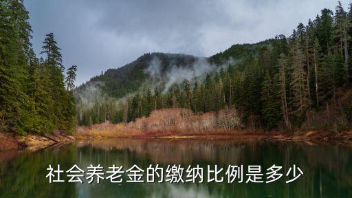社會養(yǎng)老金的繳納比例是多少